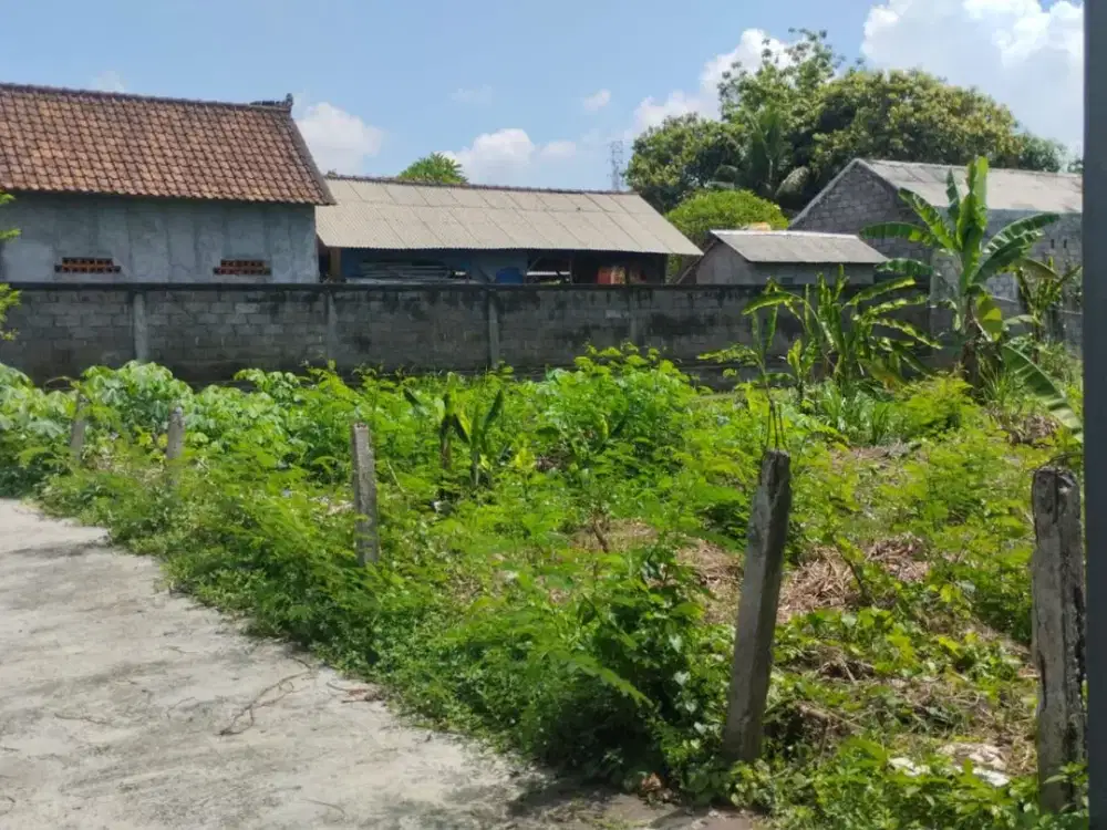Tanah Siap Bangun Free Pajak Pembelian Serongga Gianyar Bali