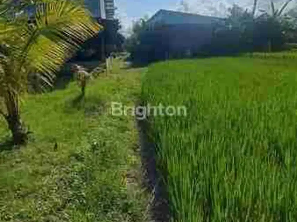 Tanah dijual dengan lokasi premium sehingga kesempatan istimewa memiliki tanah di sala satu kawasan favorit dan bergengsi Ubud