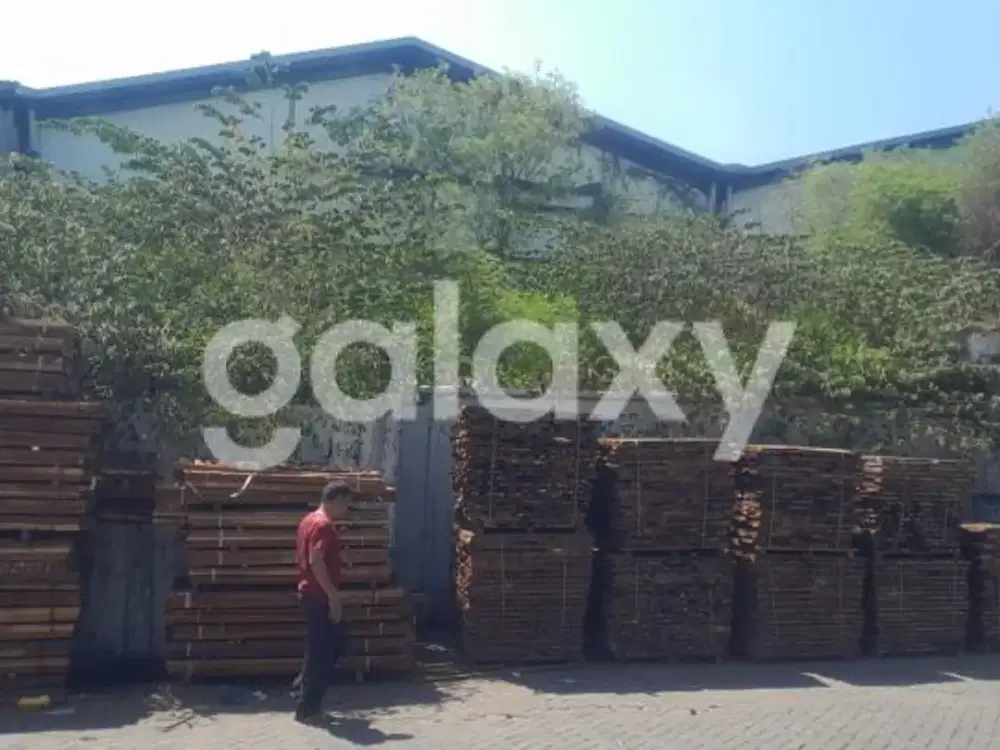 Update Sale Price.Gudang Ex Barang Import Cina Margomulyo Indah Surabaya