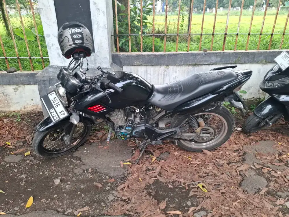 Tiger Revo 2008