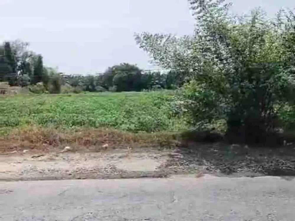 murah tanah luas satu hektar pinggir jalan lintas pasar bengkel dekat tol Perbaungan Serdang bedagai