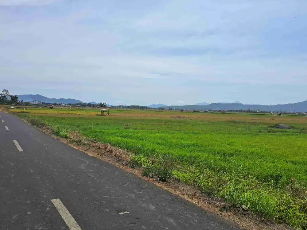 DIJUAL CEPAT TANAH SAWAH CANTIK DAERAH TONDANO, HARGA SANGAT MURAH