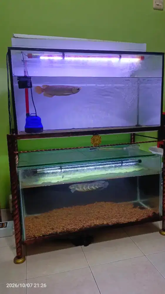 Aquarium 80x40x40