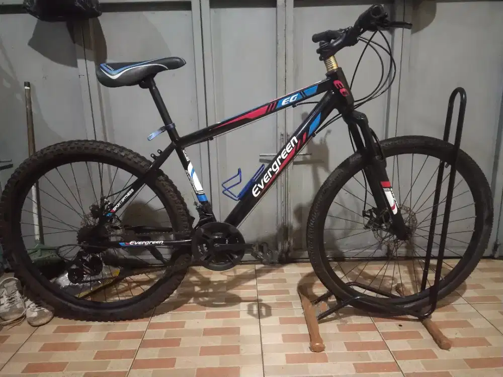 MTB evergreen UK 26