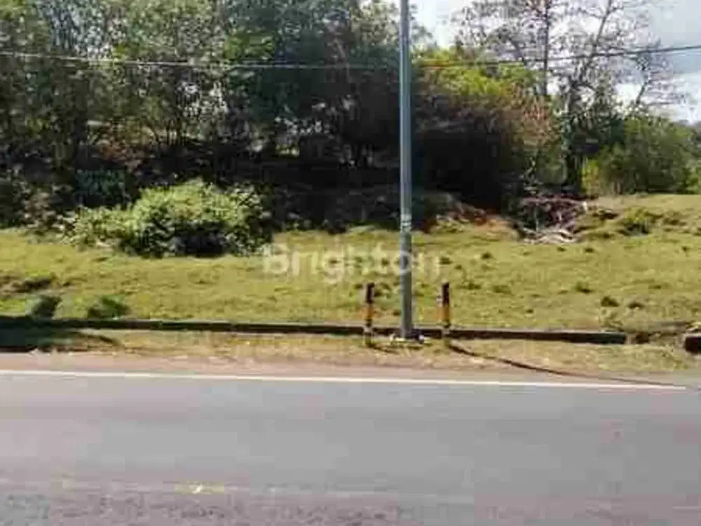Dijual tanah premium pinggir pantai Bali Barat