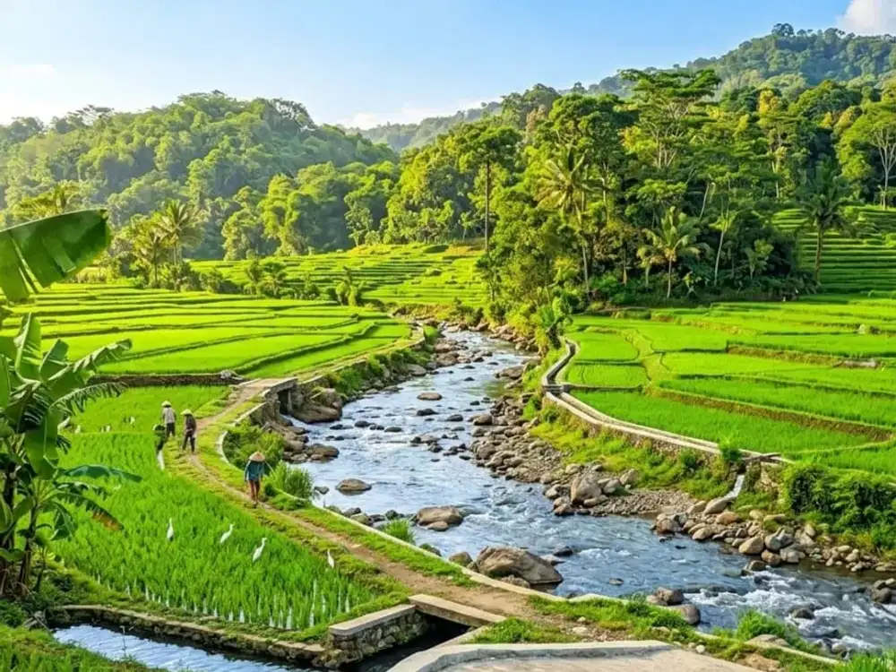 Dijual Tanah 5.000 m2 di Sukamakmur, Bogor