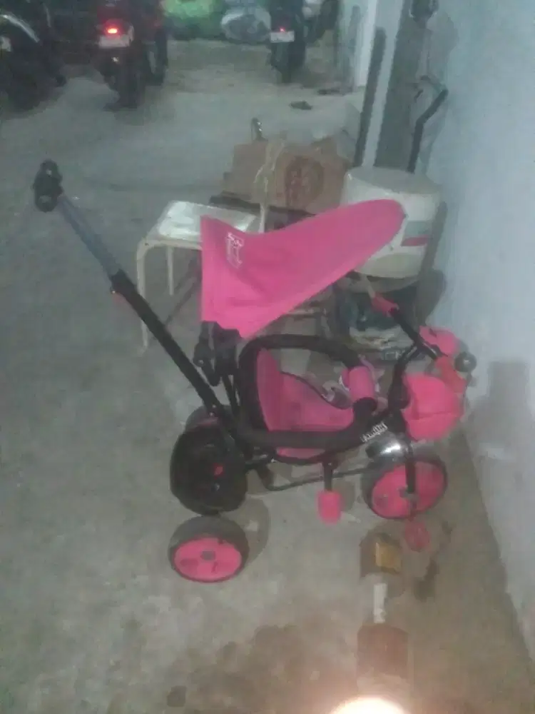 Sepeda anak family