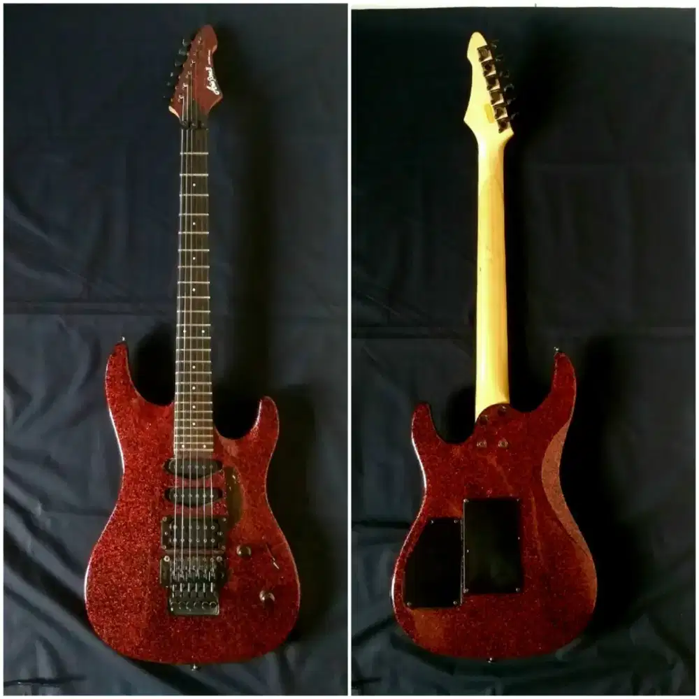 Gitar Aria pro ii Japan