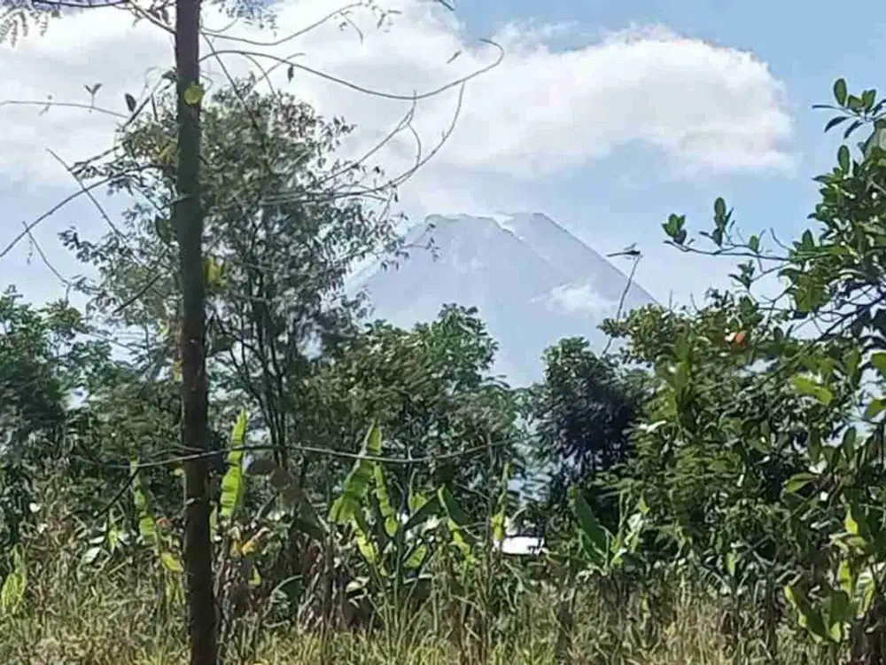 Tanah Super Murah luas 1,5 Ha di Pakem