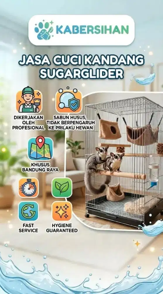 Jasa cuci kandang sugarglider