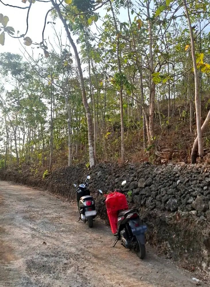 Tanah Murah 12 Km dari Pantai Indrayanti