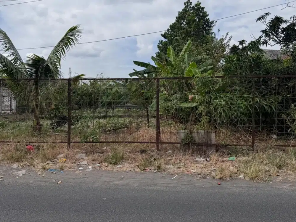 Alas Malang Beringin Sambikerep Dekat JLLB