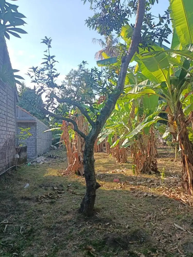 Dijual Tanah Strategis 4 Are (400 m²)