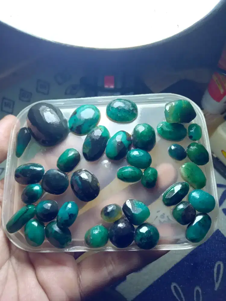 Bacan  doko polkas