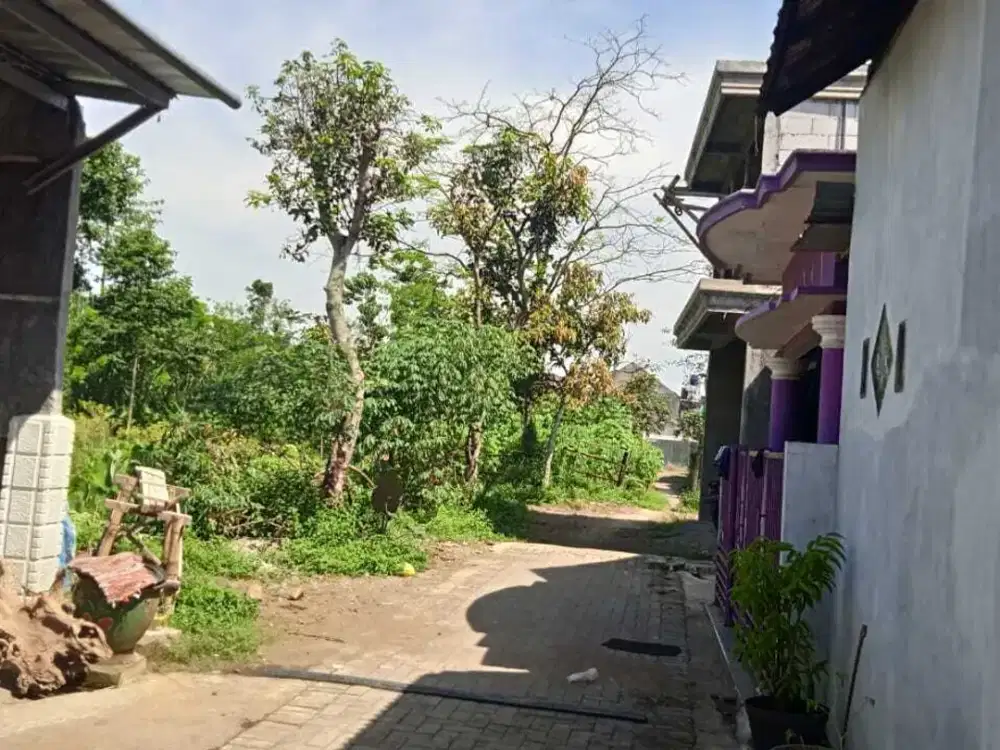 Tanah murah Genitri Tirtomoyo Pakis Dijual cepat B.U Poll dekat Araya