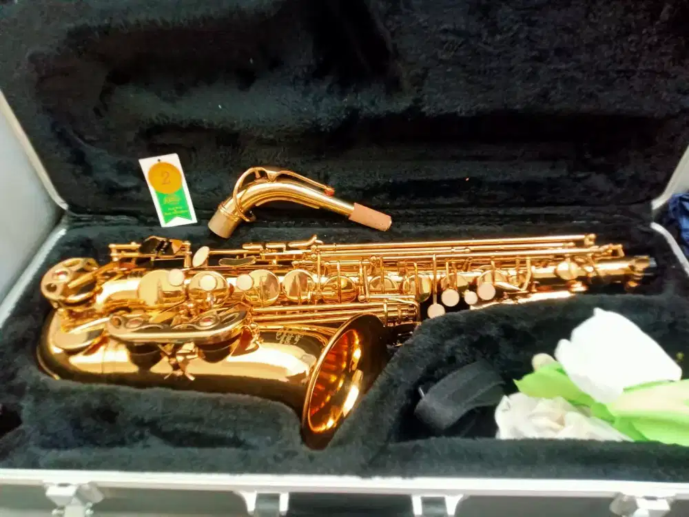 Saxophone Alto J Michael
