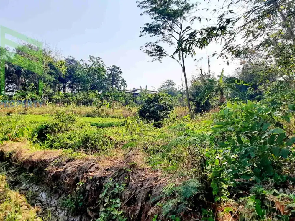 Dijual Tanah murah view pemandangan sawah di Teras Boyolali