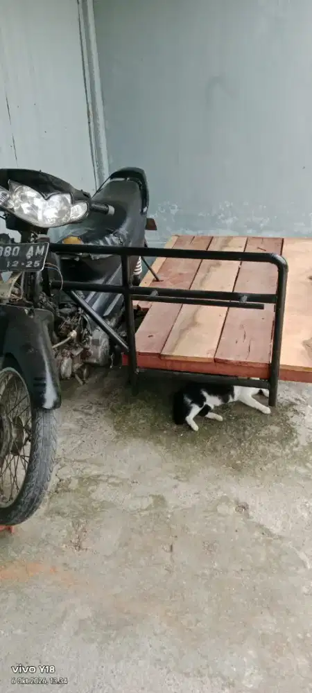 Dijual becak shogun