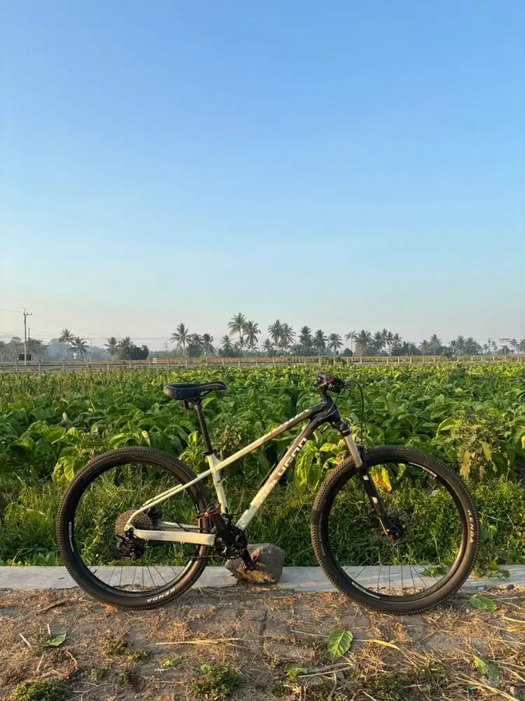 POLYGON XTRADA 6 TAHUN 2022