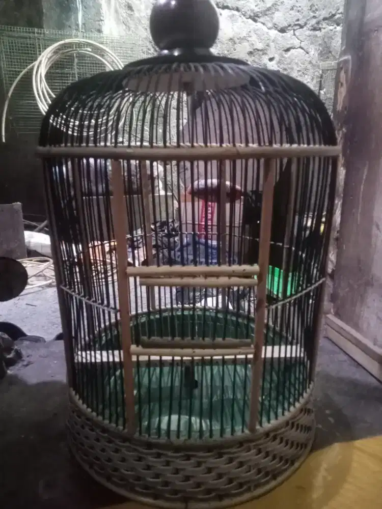 Sangkar kenari,pleci,dakun BARU