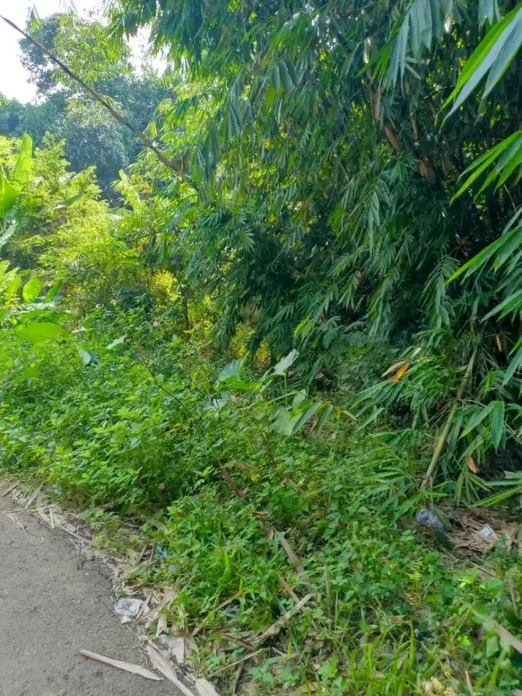 tanah dijual cepat