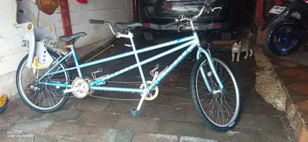 Sepeda Tandem - Polygon Impression