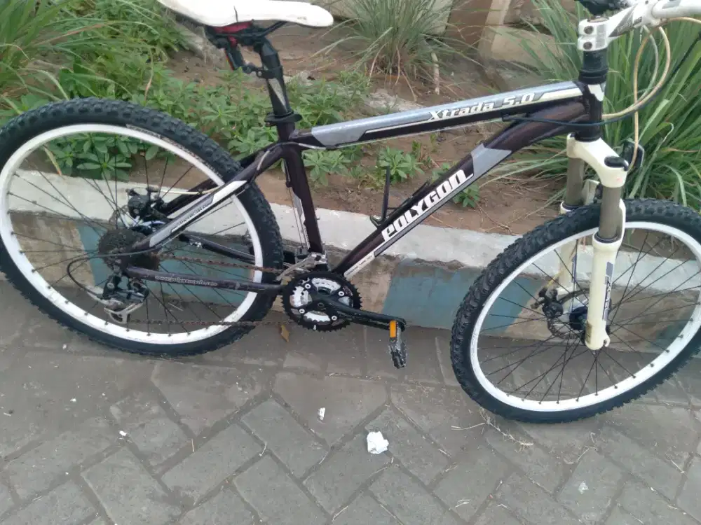Polygon xtrada 5 old