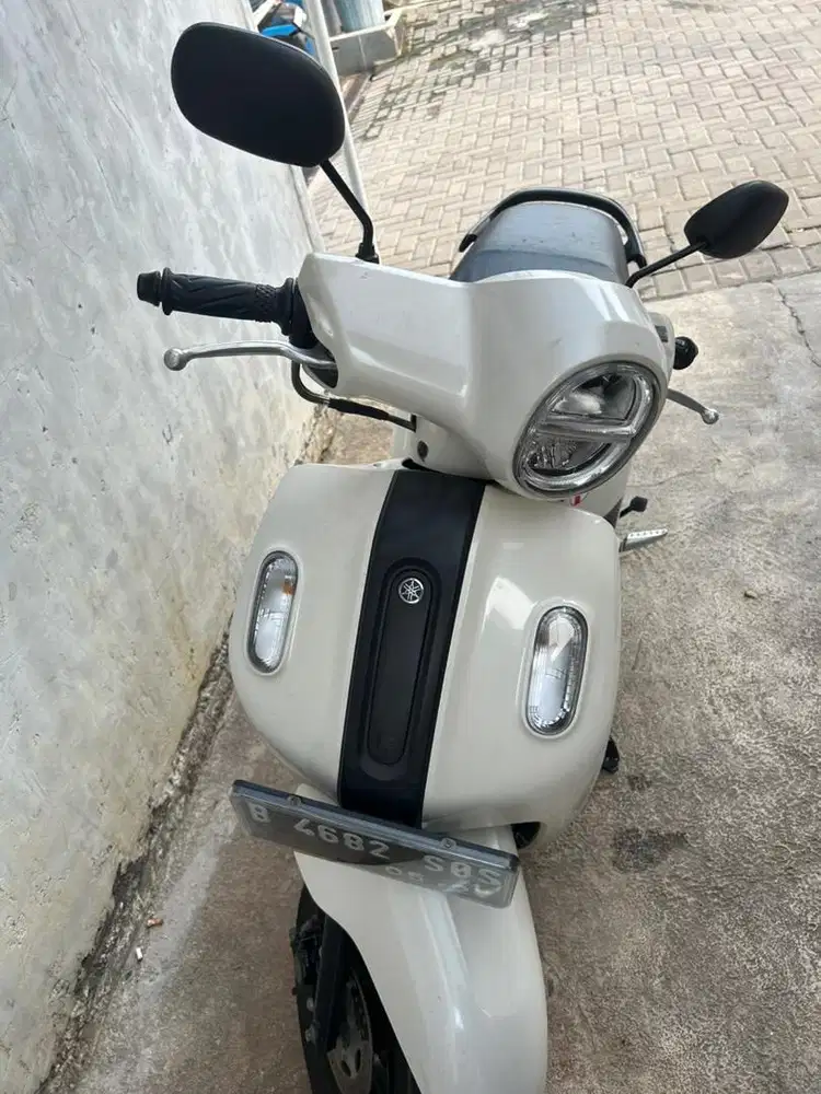 Dijual fazzio putih 2022