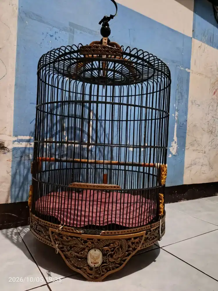 Kandang burung murai