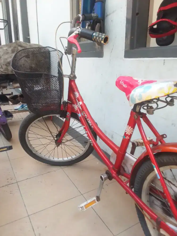 Jual sepeda anak perempuan uk 20