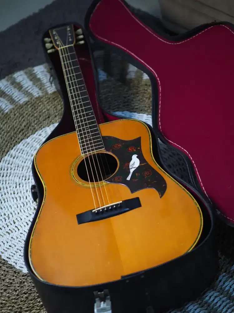 Gitar Morris W25