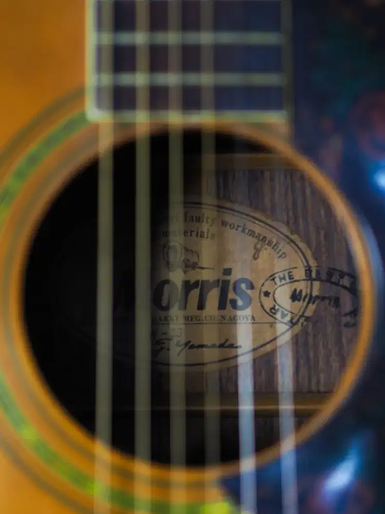 Gitar Akustik Morris W25