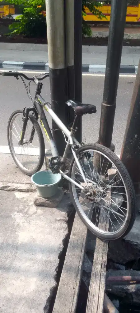 Sepeda wimcycle roadcham