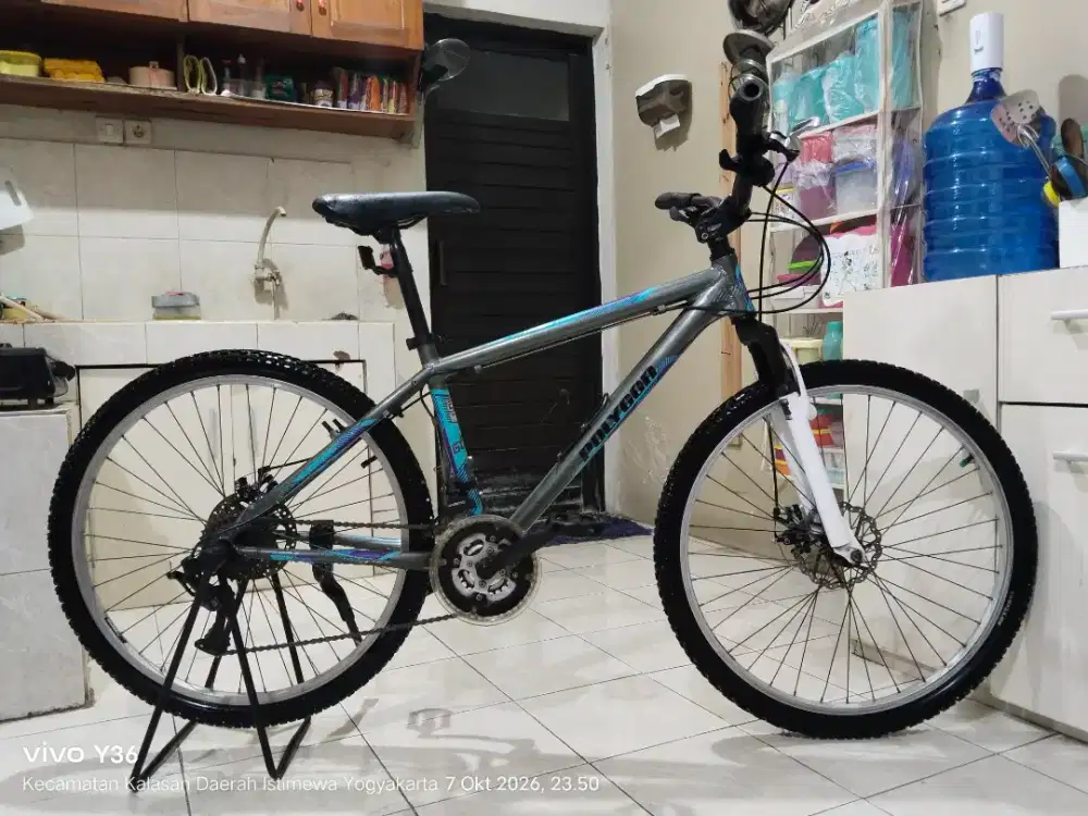 Sepeda polygon blaze 100