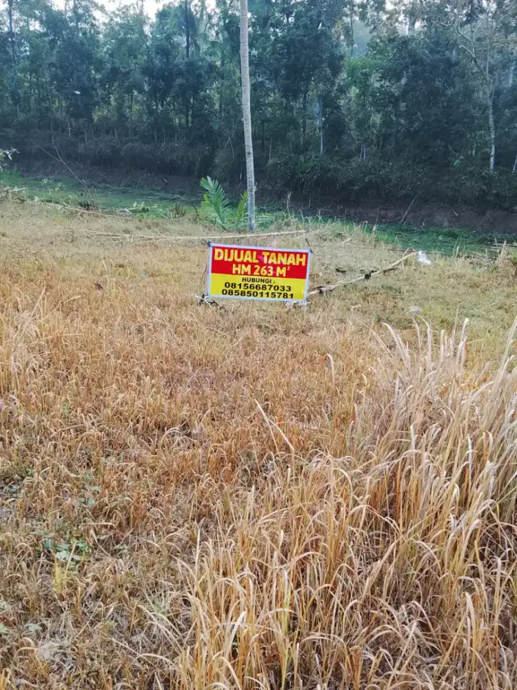 Tanah di Gunungpati Semarang