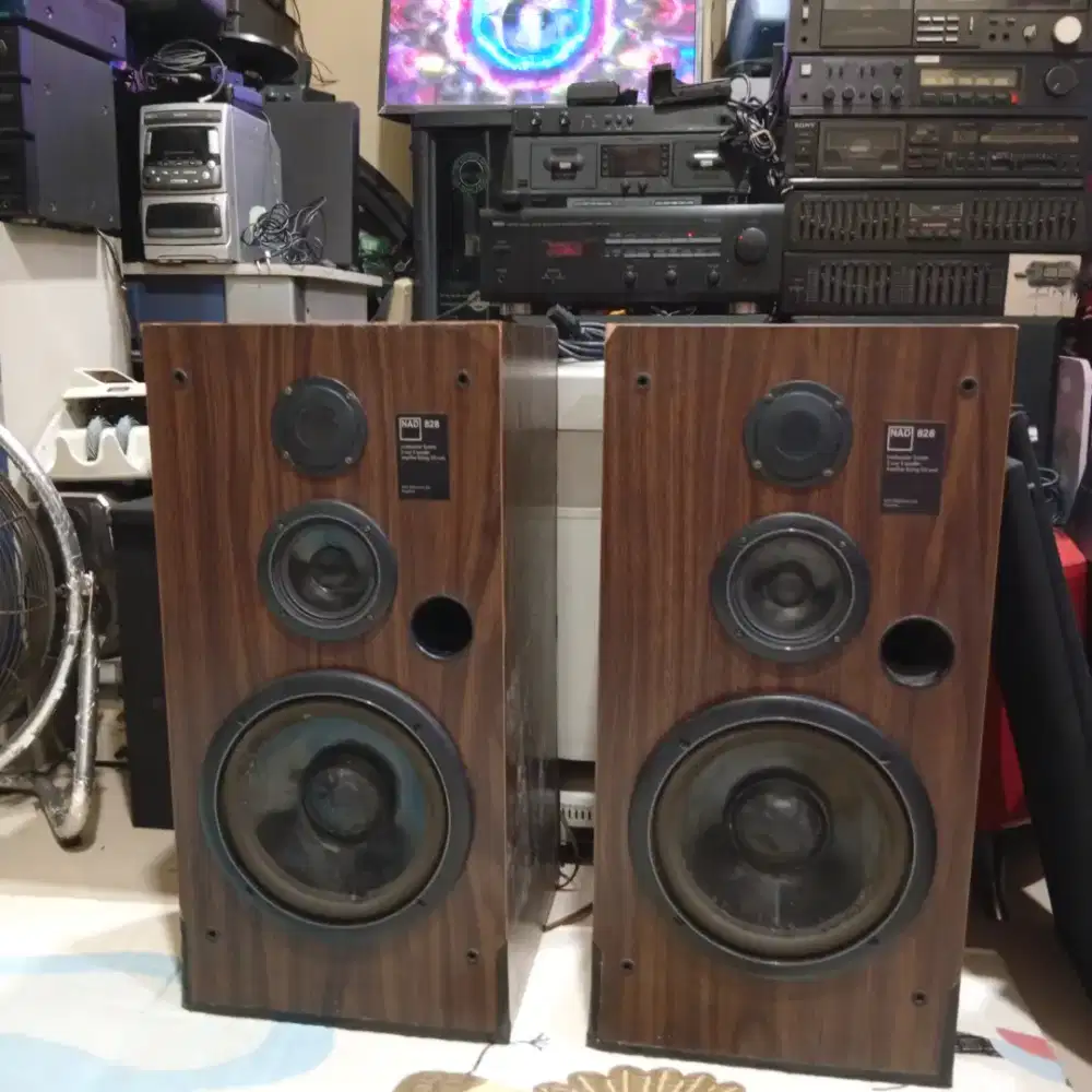 Speaker NAD 10 in 3 way minus tweter Pioneer