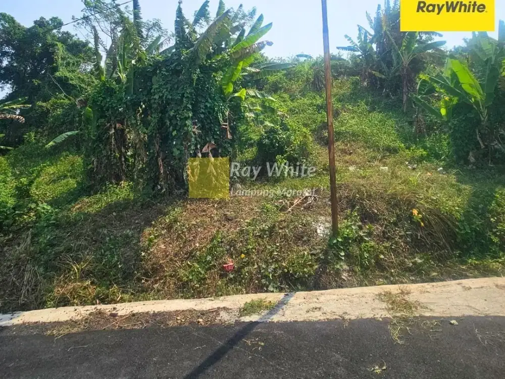 Dijual Tanah di Teluk Betung Utara, Bandar LAmpung (Kode : ME 3887)