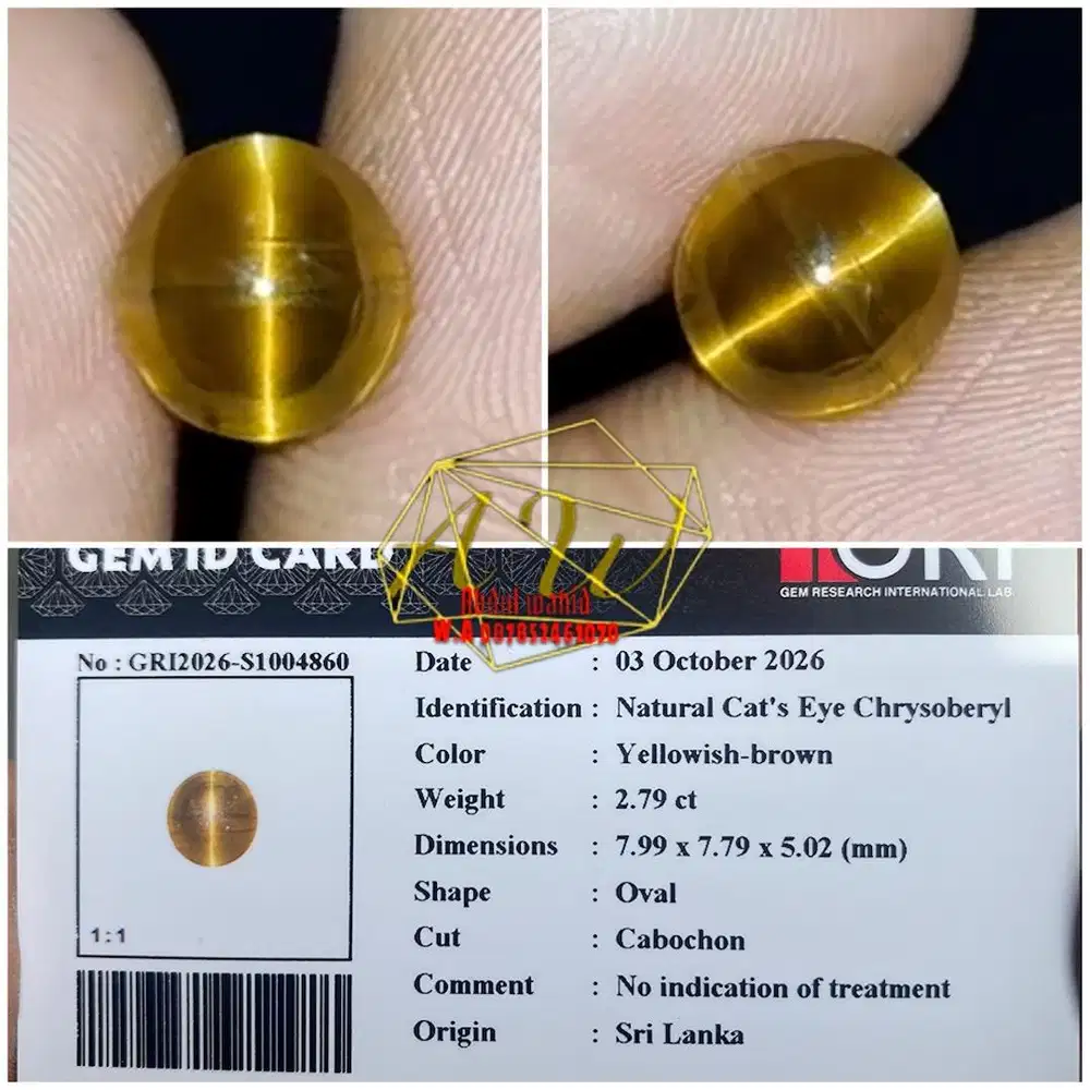 Hq chrysoberyl cats eye srilanka 2.79carat golden line