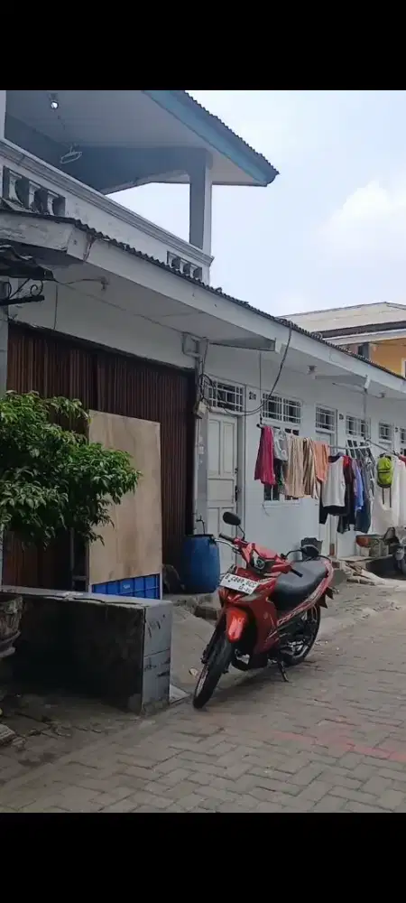 Infestasi hari Tua