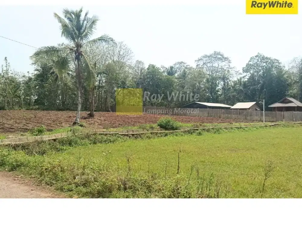Dijual Tanah di JL. Abdul Wahid, Pesawaran (Kode : ME ALF 3892)