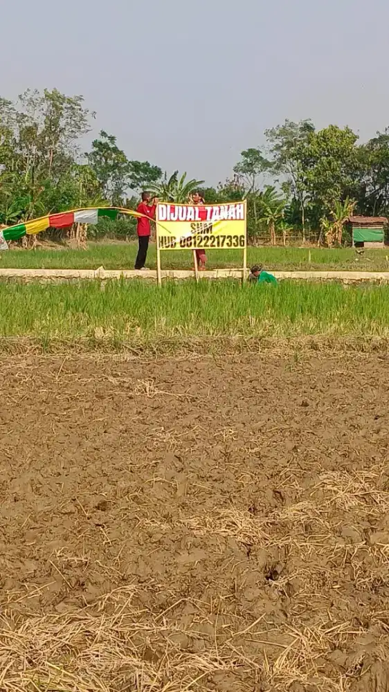 Tanah Sawah di Karang Sambung