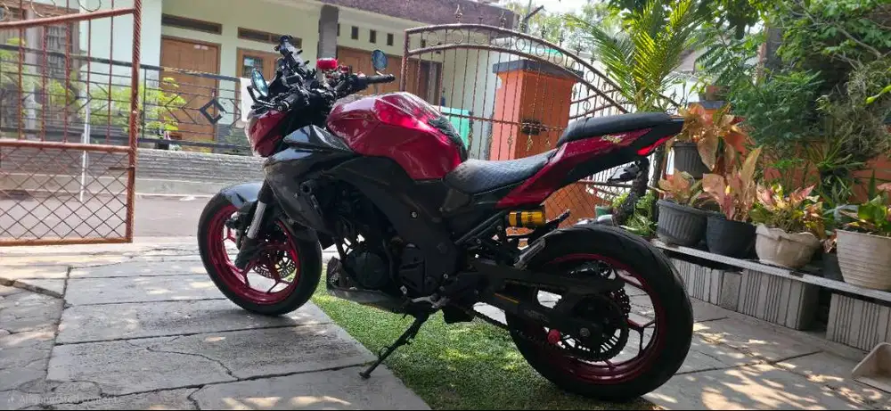 KAWASAKI Z250 ABS + ASSIST & SLIPPER CLUTCH