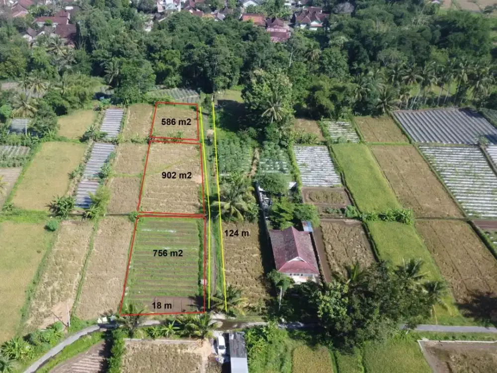 Tanah Pinggir Jln Aspal Desa Pandowoharjo Dekat SCH Pemda Sleman Jogja