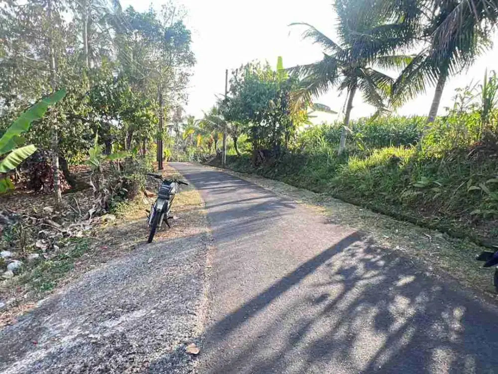 jual tanah kebun view bagus fi tabanan bali.