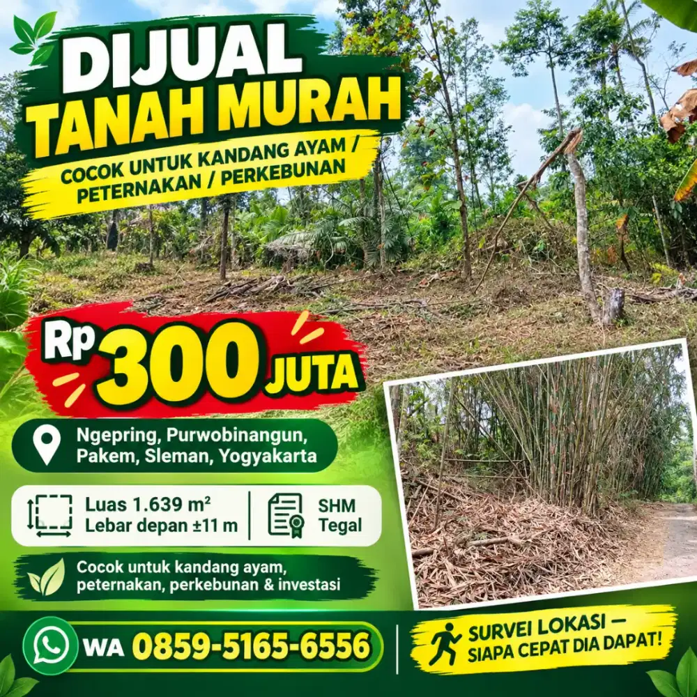 Tanah ngepring pakem Sleman cocok untuk kandang ayam atau perkebunan