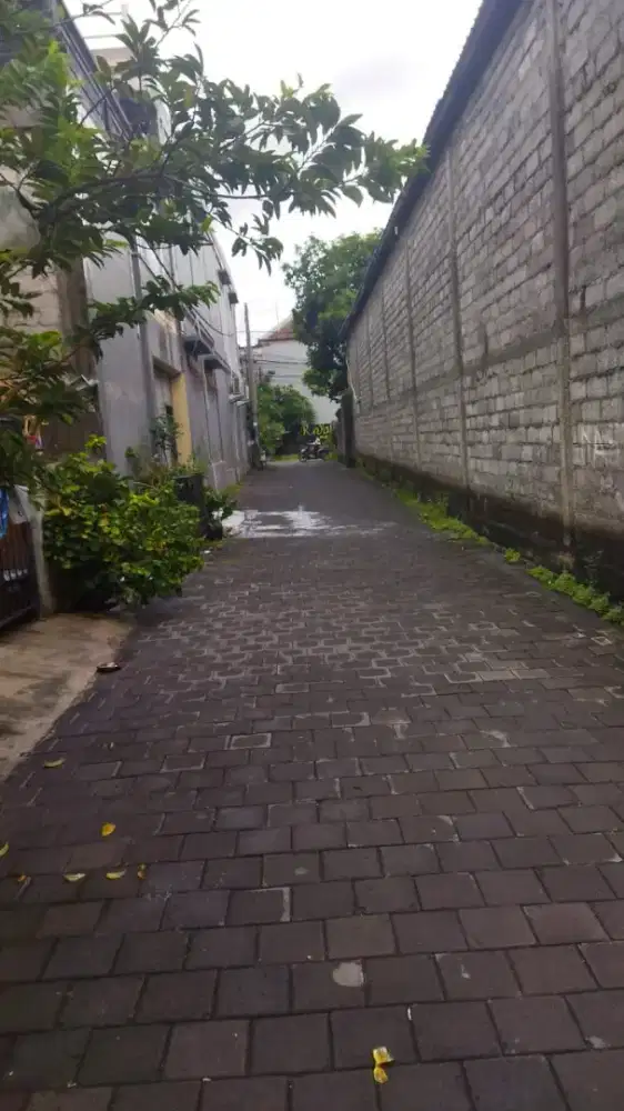 Tanah 200 m2 di Jl Glogor Carik Denpasar cuma 10 meter dari Jl Utama