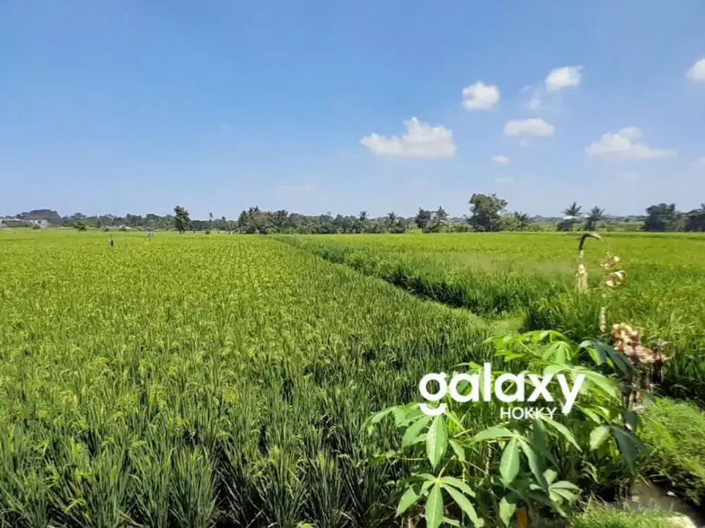 DIJUAL TANAH KAVLING ZONA KUNING DI PONDOK GEDE TABANAN