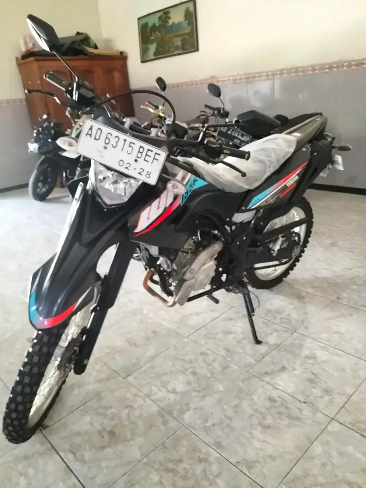 Yamaha WR 155 2022