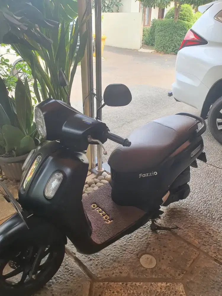 Fazzio 2024 Dijual