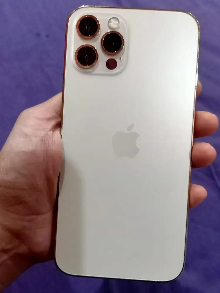 Ip 12 pro inter